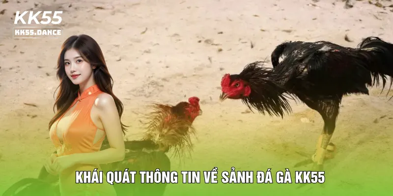 Khái quát thông tin về sảnh đá gà KK55