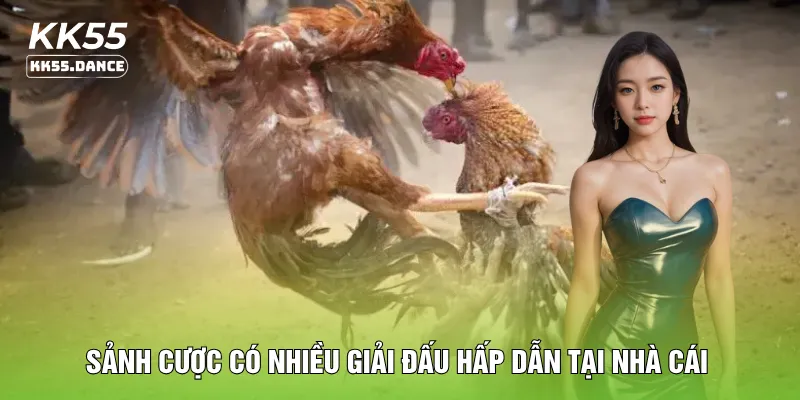 Sảnh cược có nhiều giải đấu hấp dẫn tại nhà cái